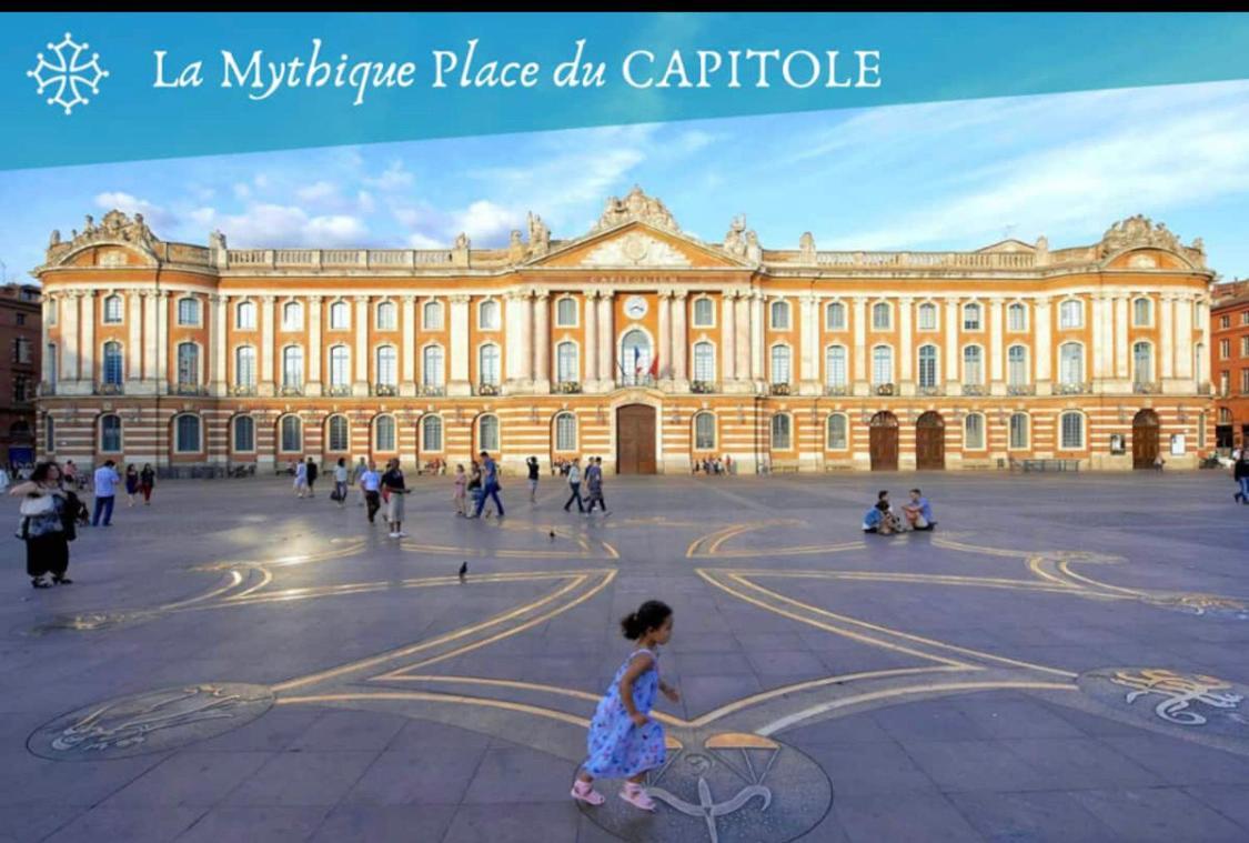 L Oasis Studio Proche Hopital Et Aeroport Piscine Parking &Netflix Toulouse Ngoại thất bức ảnh