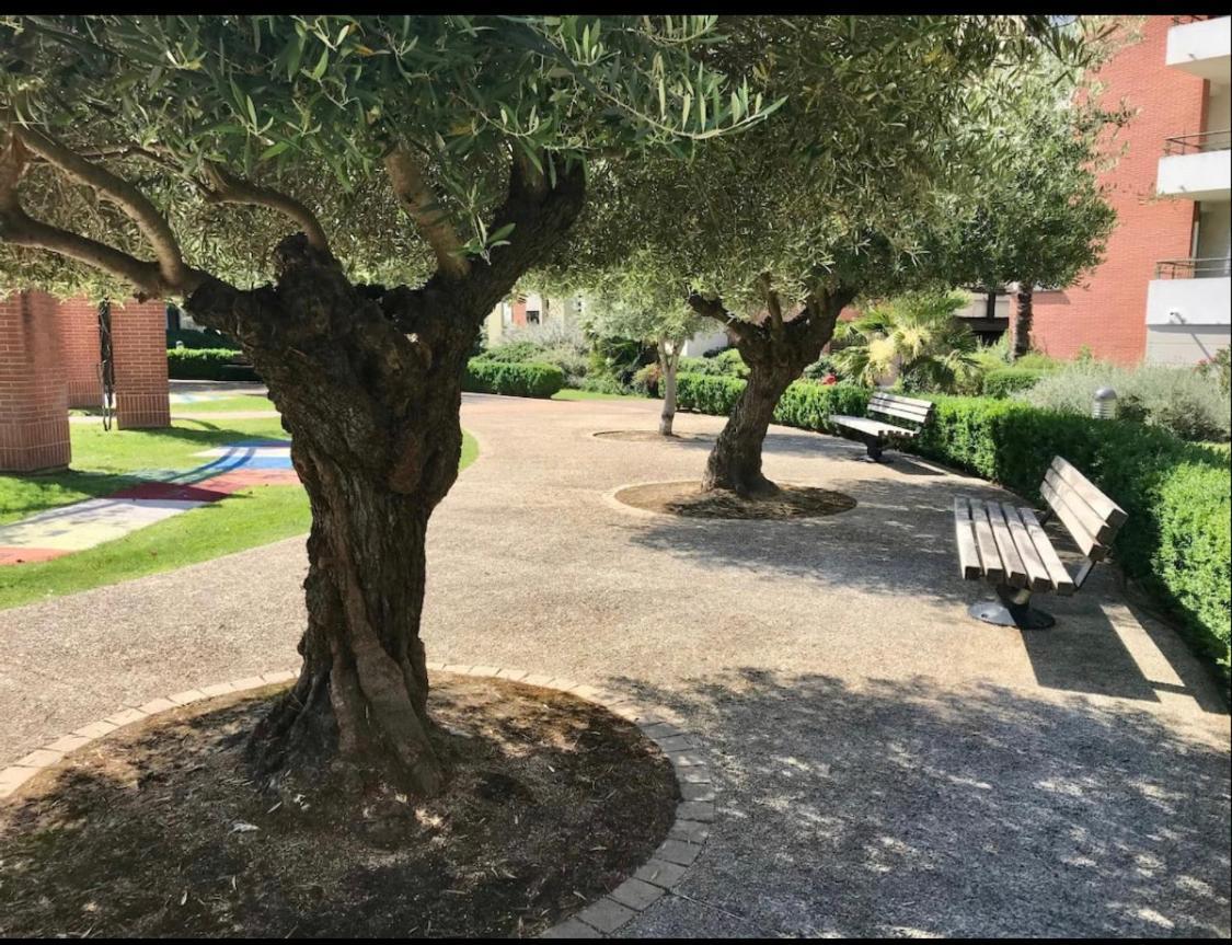 L Oasis Studio Proche Hopital Et Aeroport Piscine Parking &Netflix Toulouse Ngoại thất bức ảnh